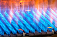 Manais gas fired boilers
